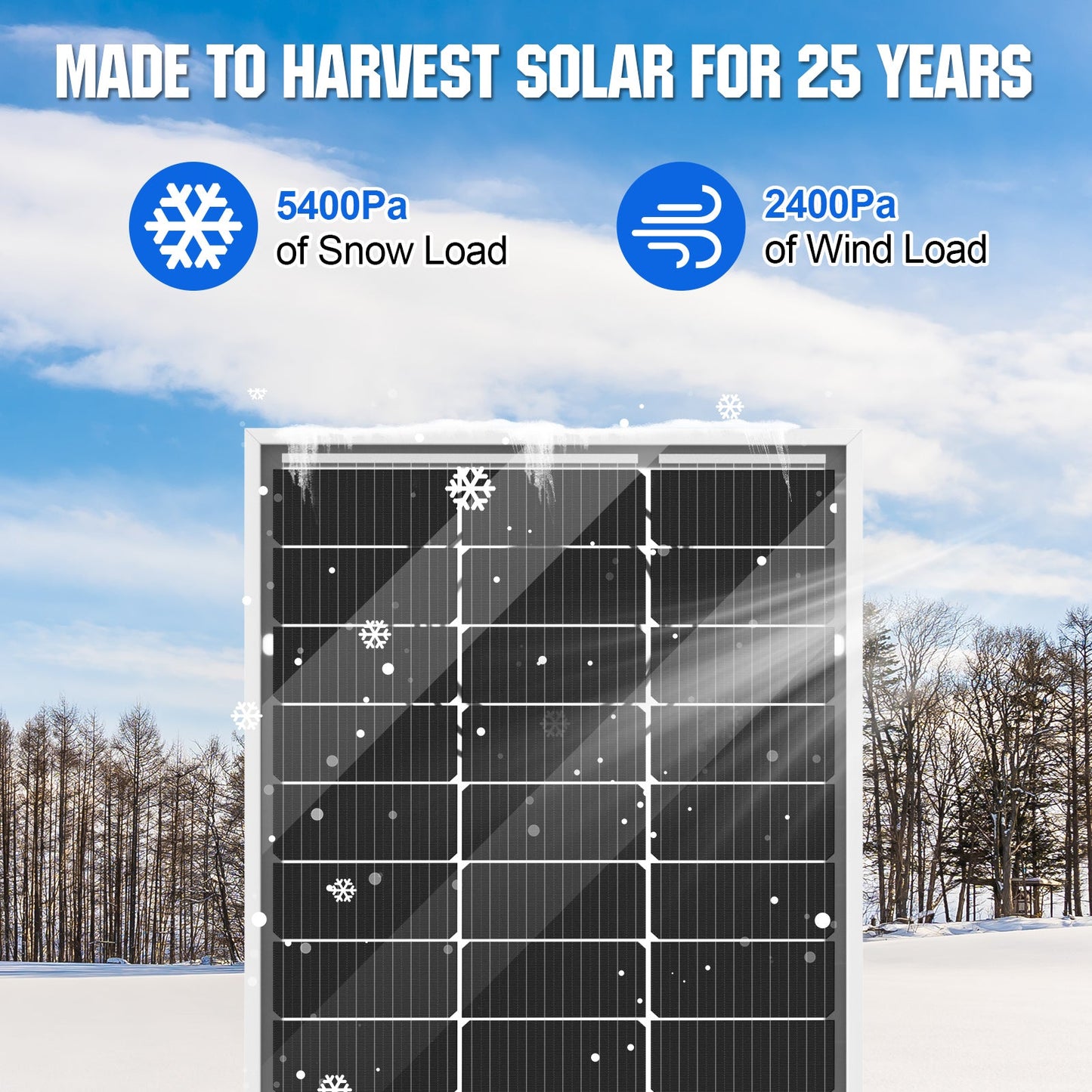 Bifacial 100W 12V Monocrystalline Solar Panel - Solar panel - ECO - WORTHY